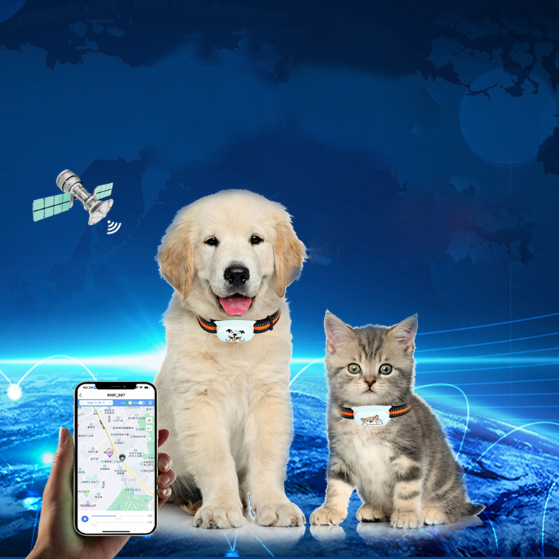 4G Gps Tracker prend en charge la position en temps réel pour l'animal de compagnie